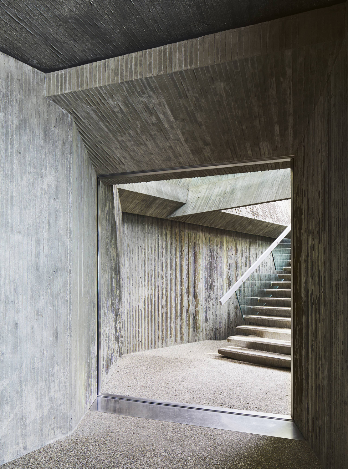 Matt Harrington Photo